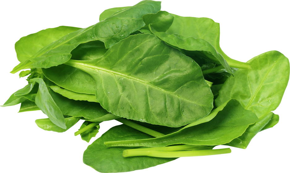 Fresh Spinach