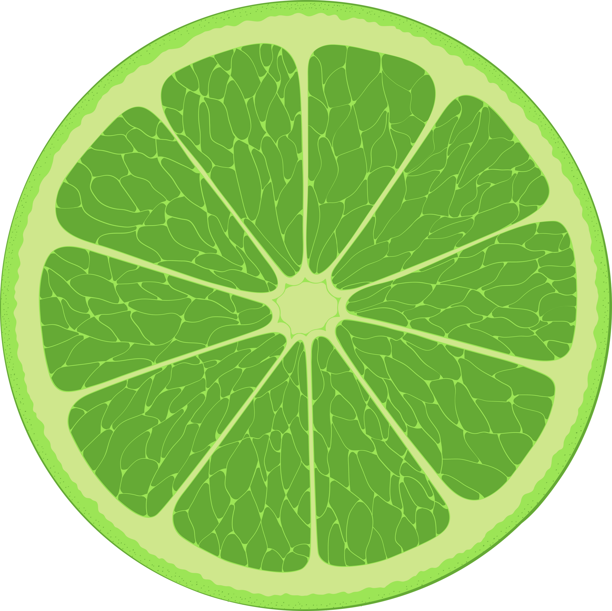 Green lemon. Cut fruit. Slice of citrus.